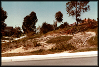 Owner maintained slope